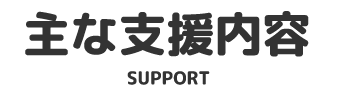 主な支援内容